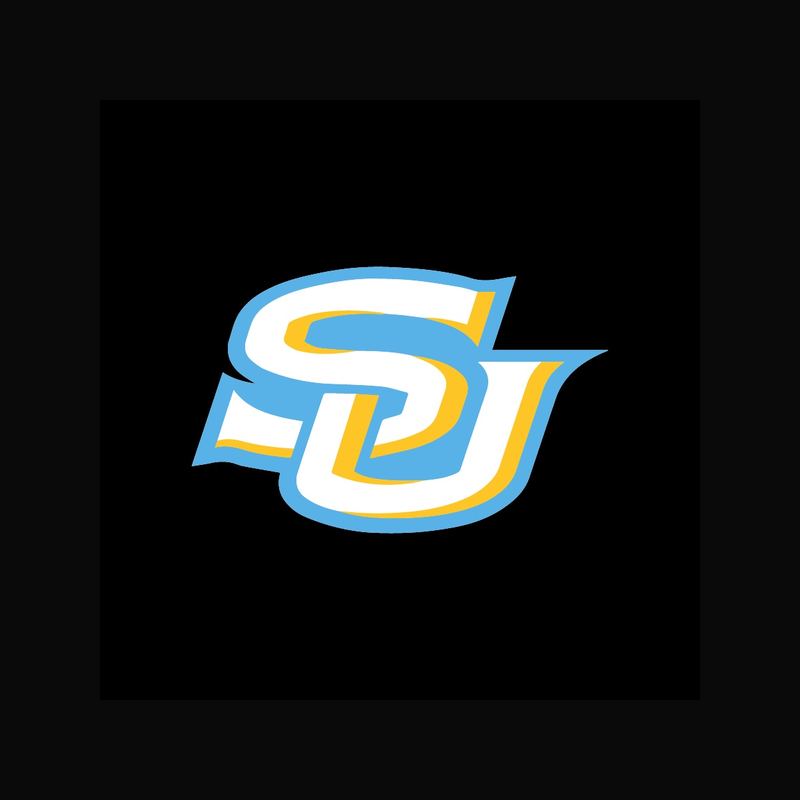 SOUTHERN UNIVERSITY