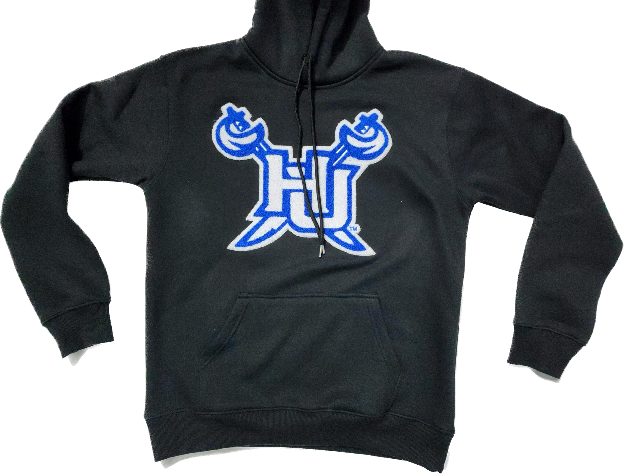 Hampton University Chenille Hoodie