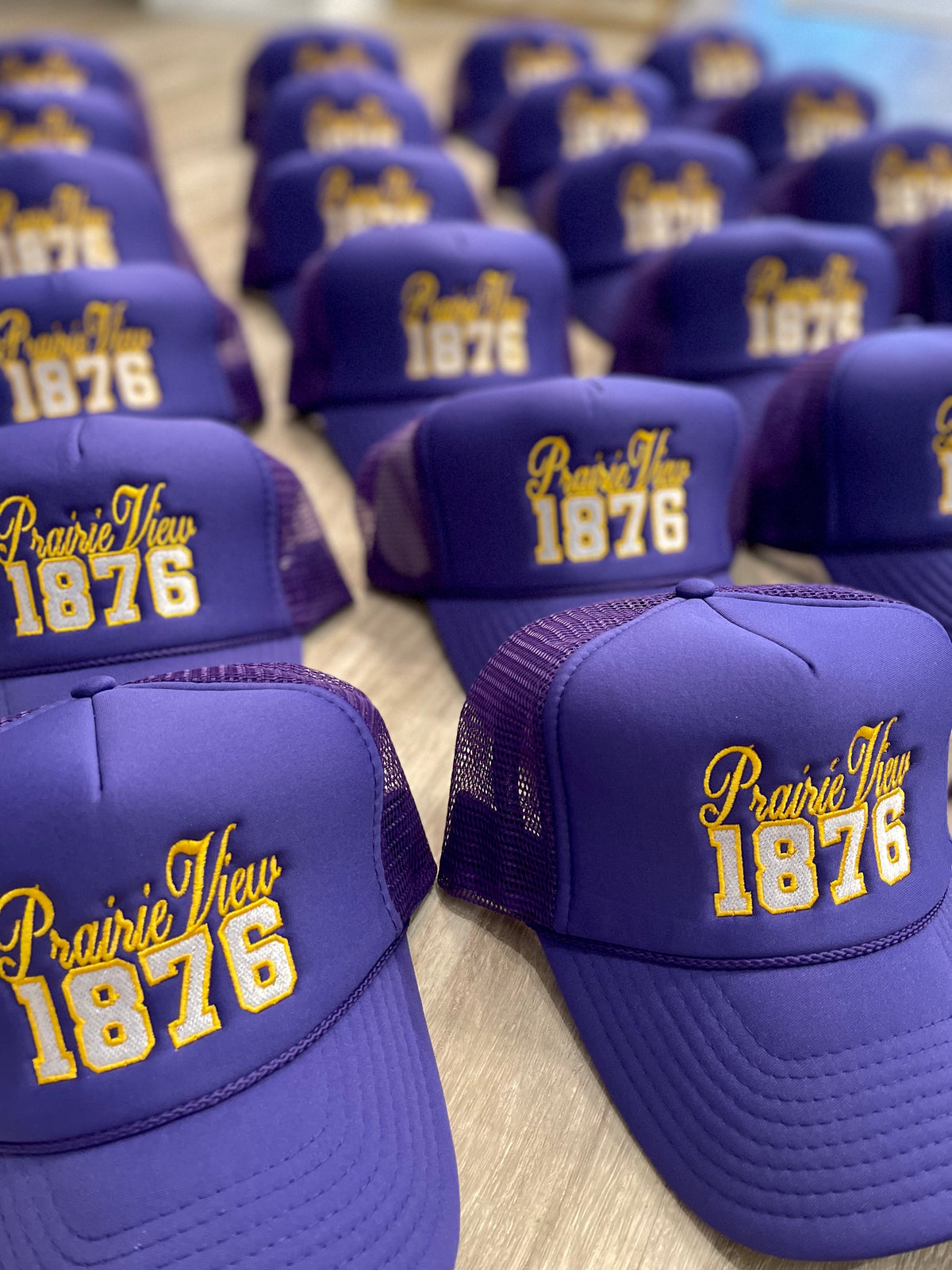 Prairie View 1876 Mesh Baseball Cap - alternate view