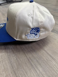Tennessee State Tiger Snapback