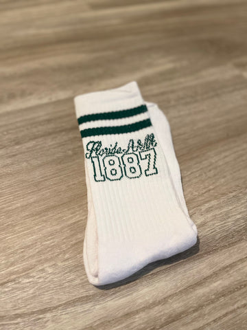 Florida A&M 1887 Socks
